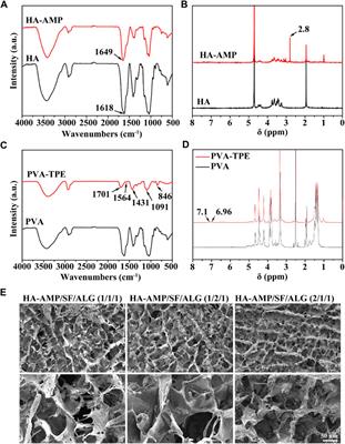 Antimicrobial peptide-modified AIE visual composite wound dressing for promoting rapid healing of infected wounds